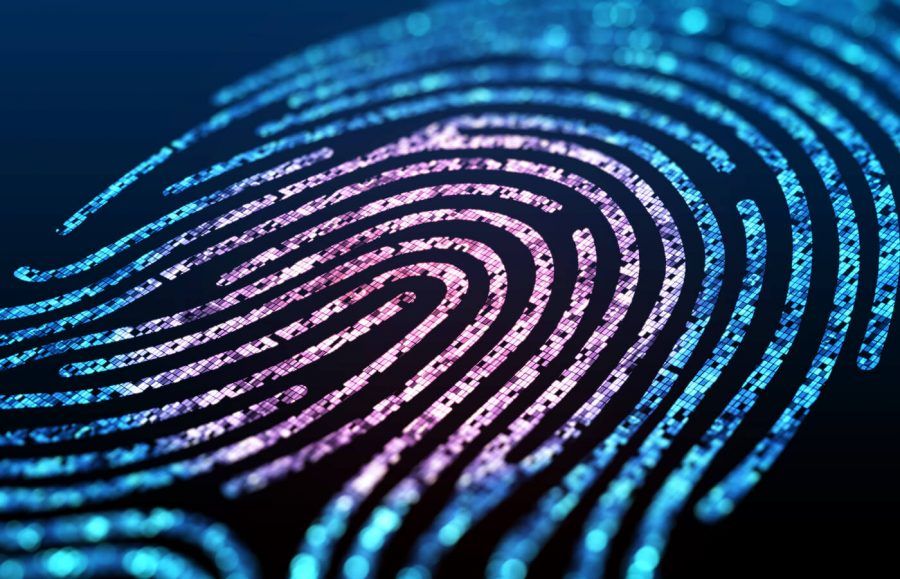 How Can Biometrics Protect Your Identity? article image.