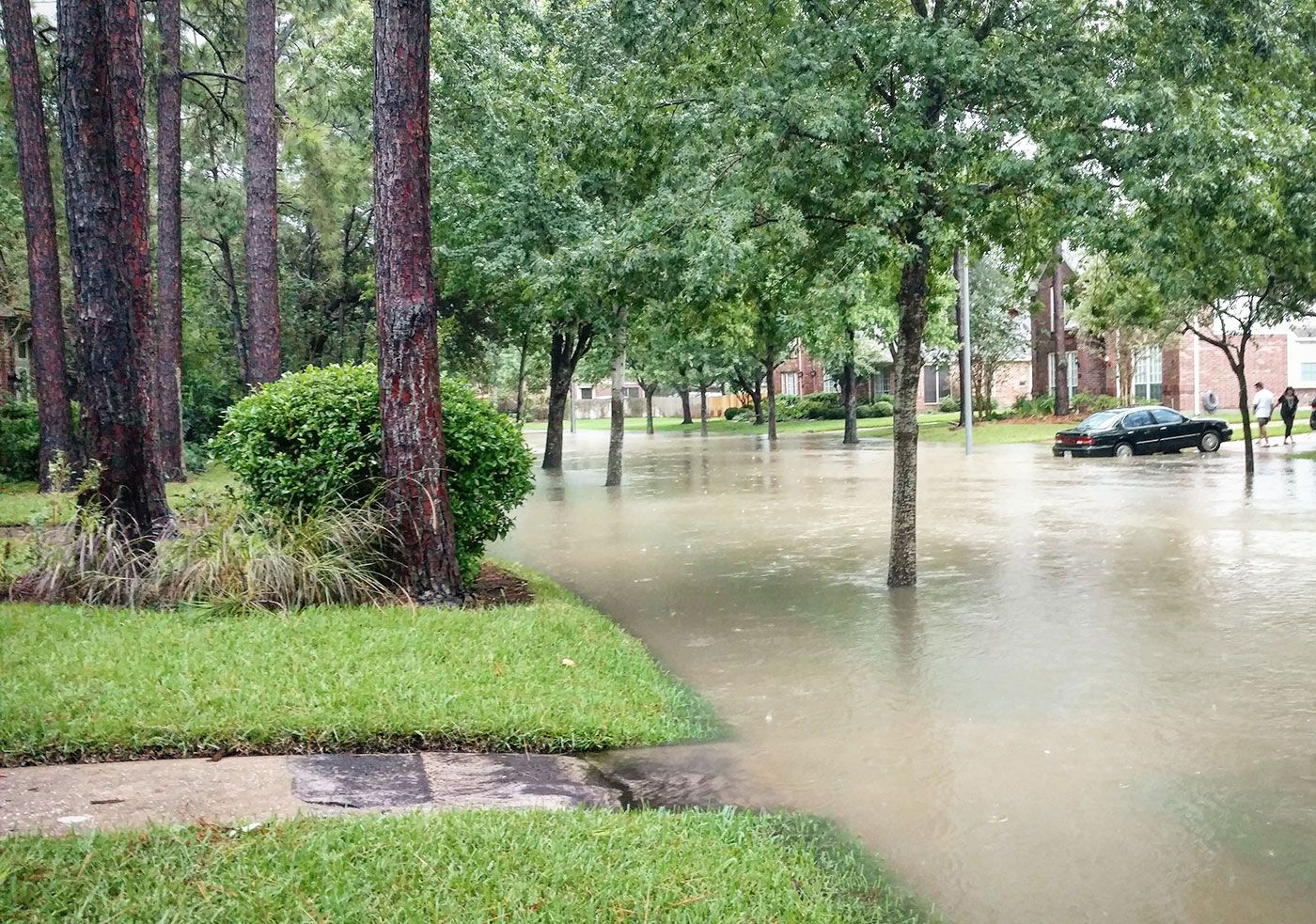 Does Renters Insurance Cover Flood Damage? article image.